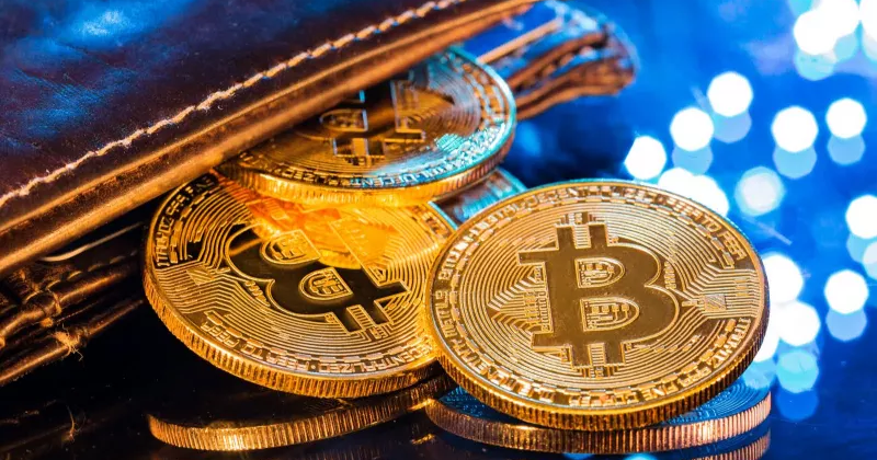 How To Choose A Cryptocurrency Wallet