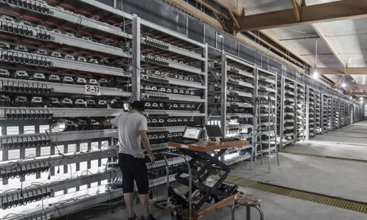 Jingle Mining's Hosting Services