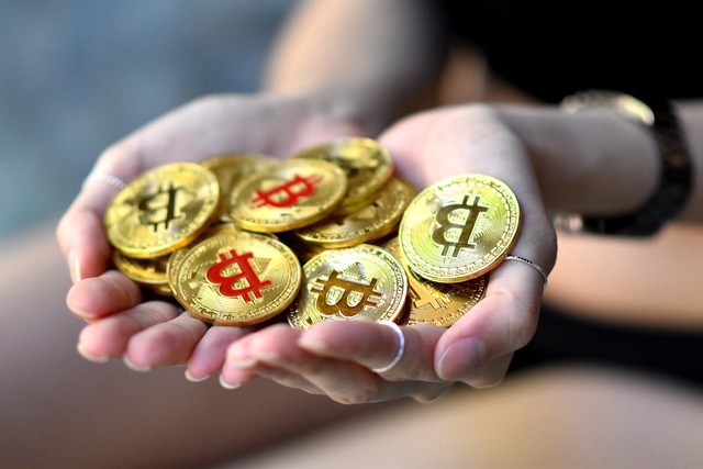 Drip Passive Income On Autopilot